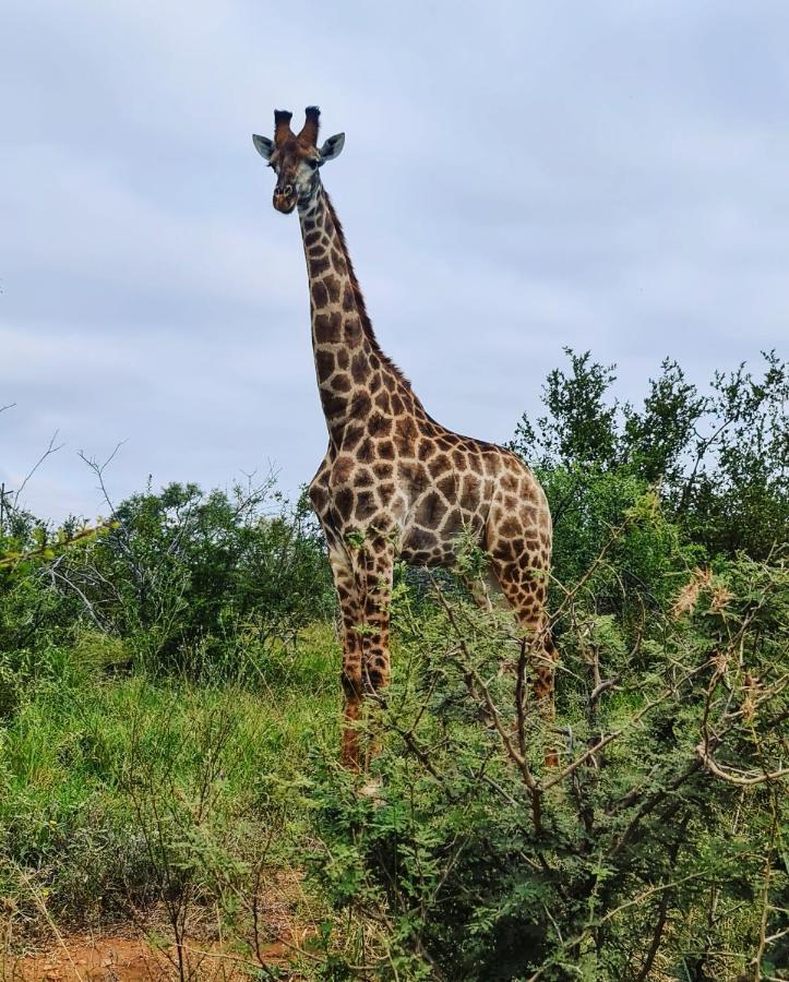 Leopard'S Lair Bush Lodge Hoedspruit Luaran gambar